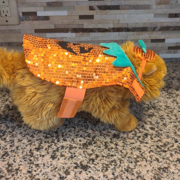 Pumpkin small pet Halloween costume - Picture 3 of 5